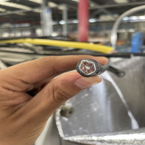 耐火耐高溫電纜NH-RVSP105、NH-BVSP105